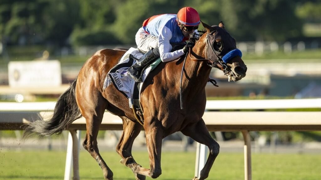 Second leg of the triple crown 