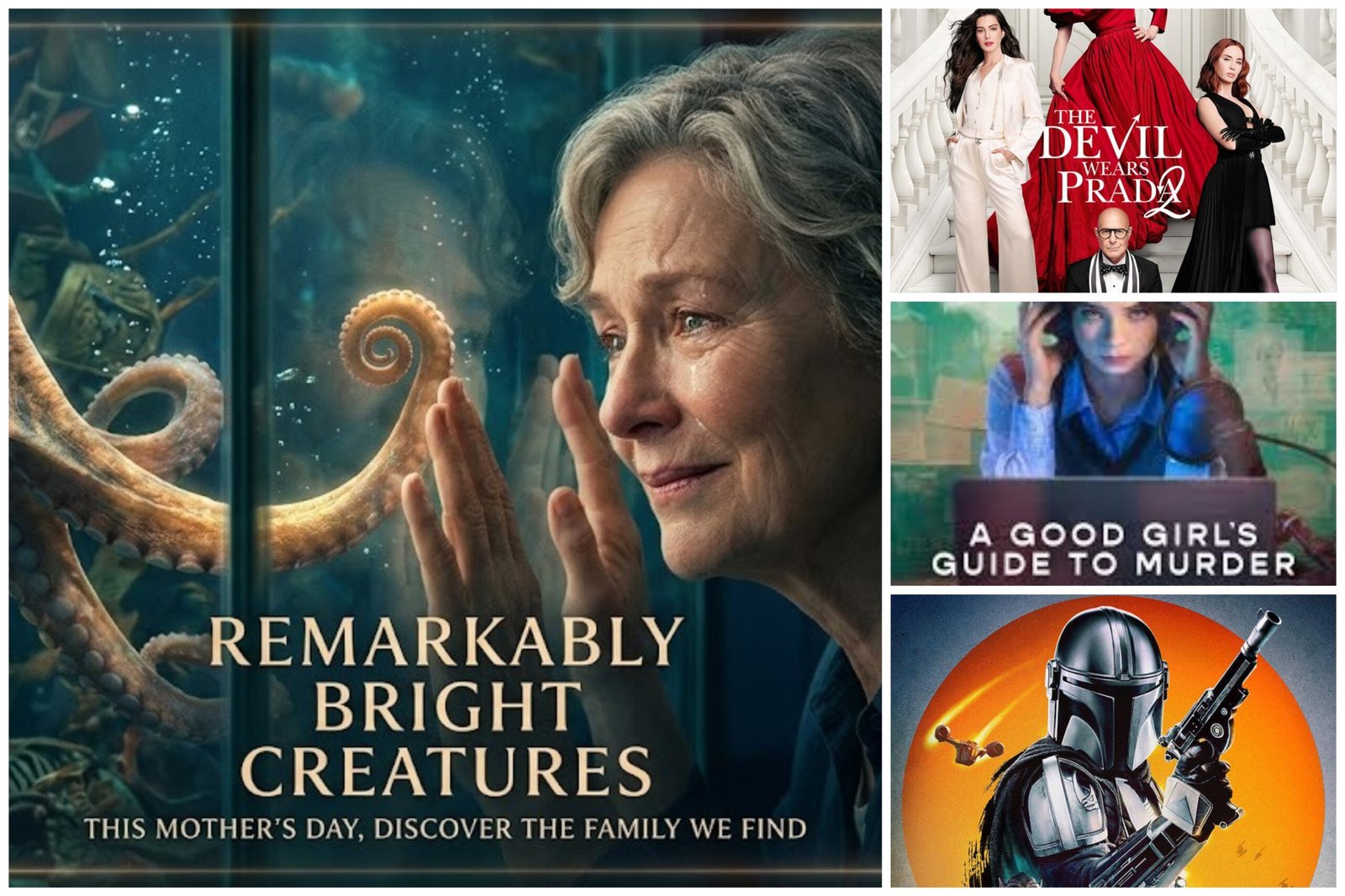 Best Movies & Shows to Watch in May 2026